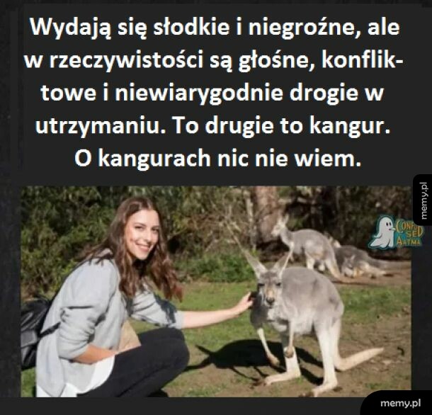 Z kamerą wśród zwierząt
