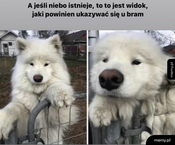 Tak jest na pewno!