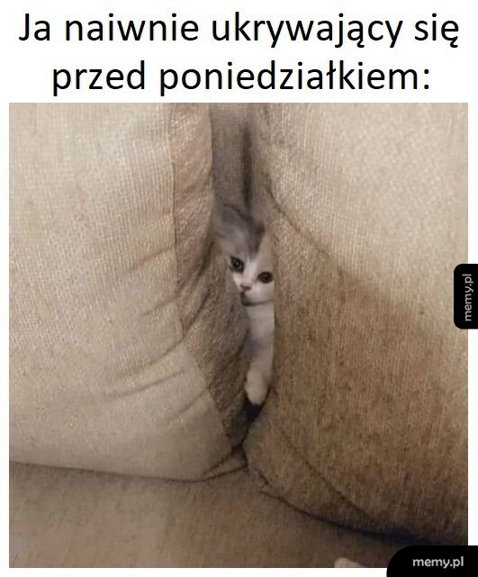 Każda niedziela