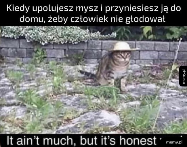 Kiedy upolujesz mysz