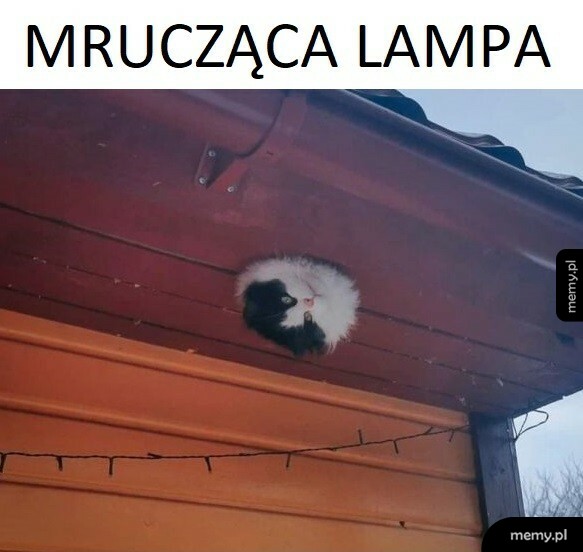 Mrucząca lampa