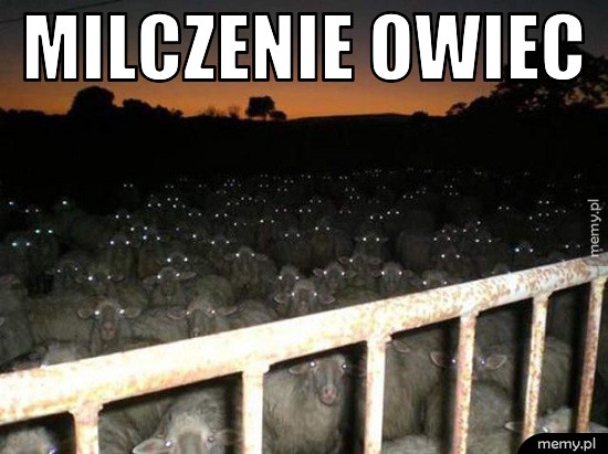 Milczenie owiec