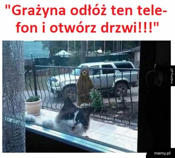 Grażyna, help!