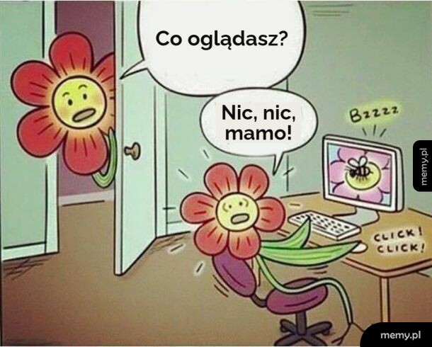 Kwiatki i pszczółki po kryjomu