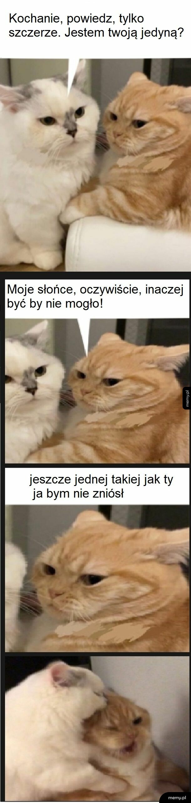 Kocham cię co się weź !!!