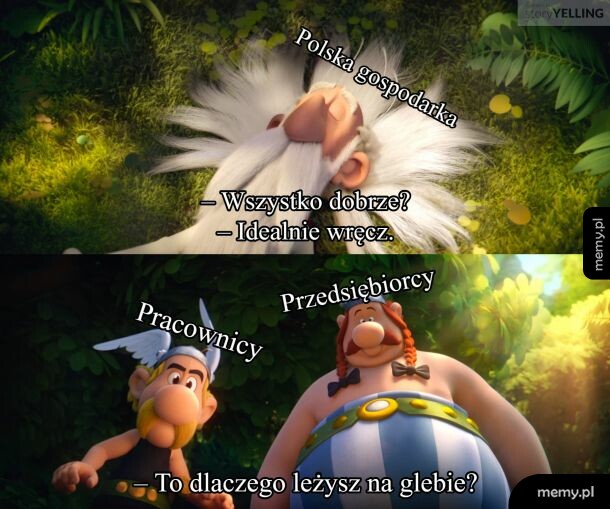 Leży i nie wstaje