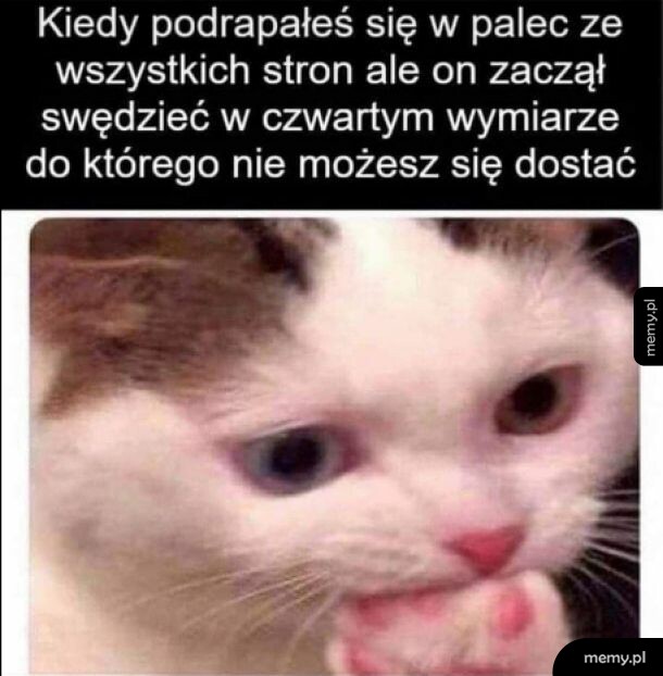 Swędzenie