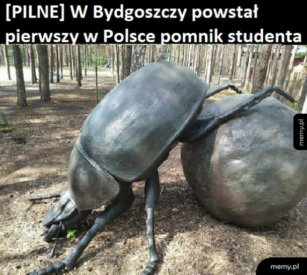 Na co Ci ta kulka ?