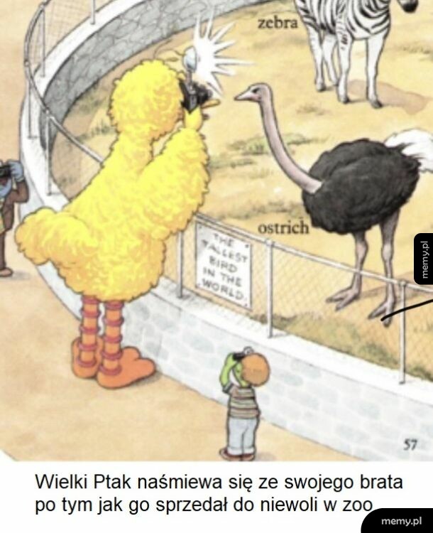 Ptaszek