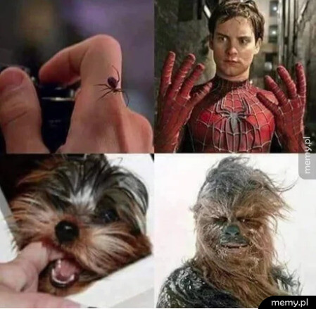 Supermoce