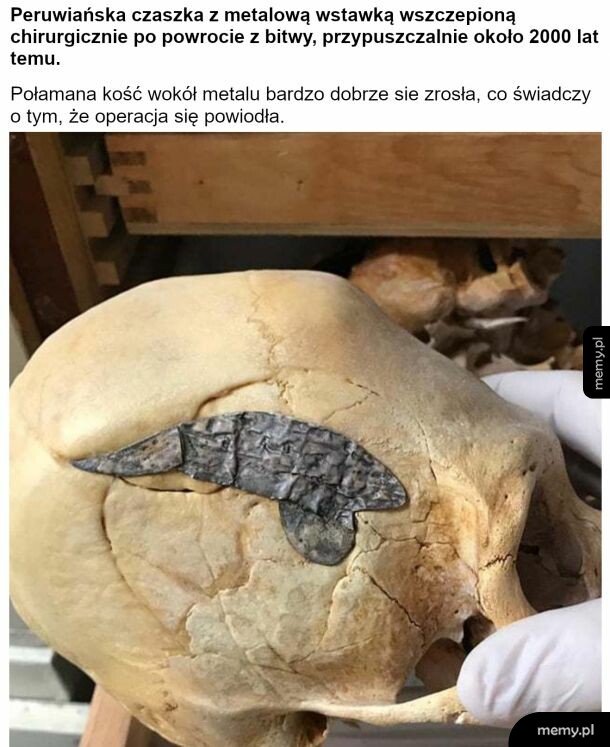 Ciekawe
