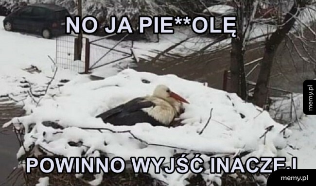 No świetnie po prostu