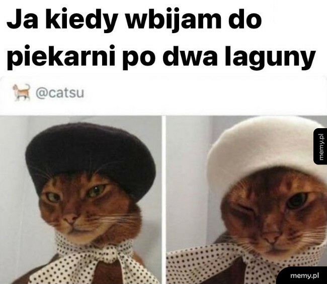 Laguny