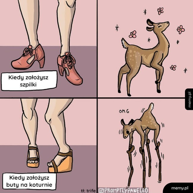 Szpilki vs. Koturny