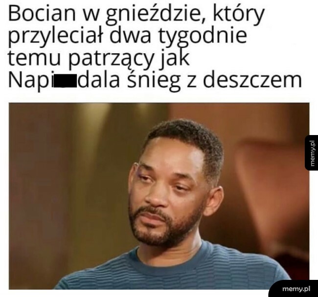 Bociany w tym roku