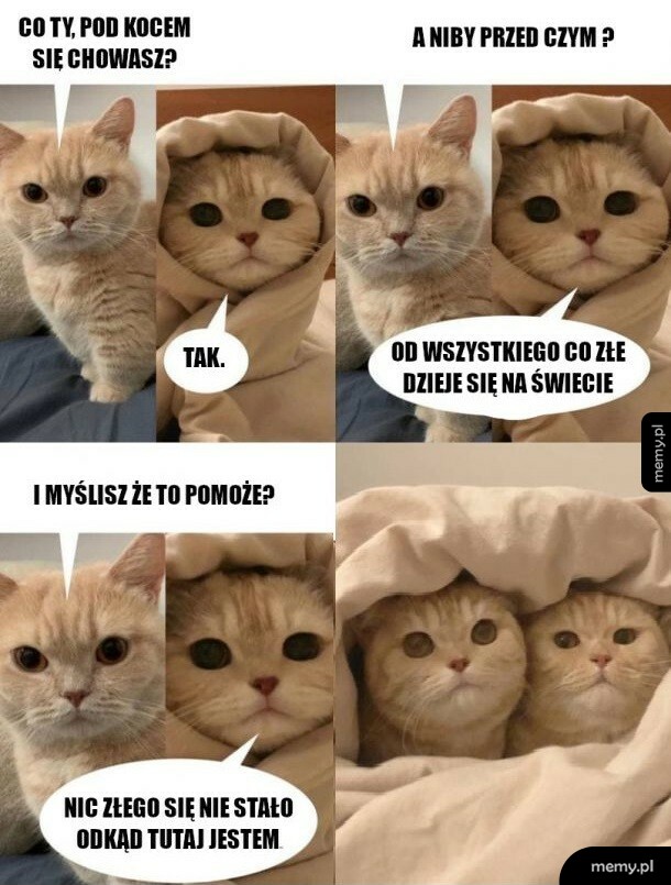 Ochrona przed całym światem