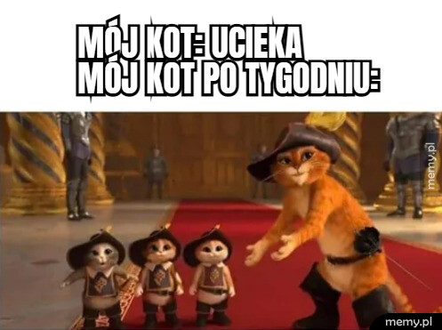 Niespodzianka