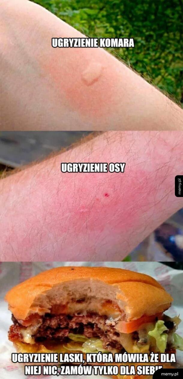 Ugryzienia i ich ślady