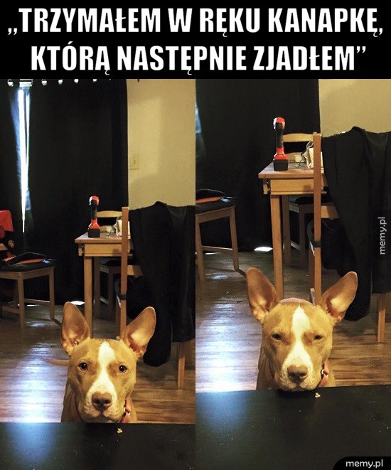 Rozczarowanie