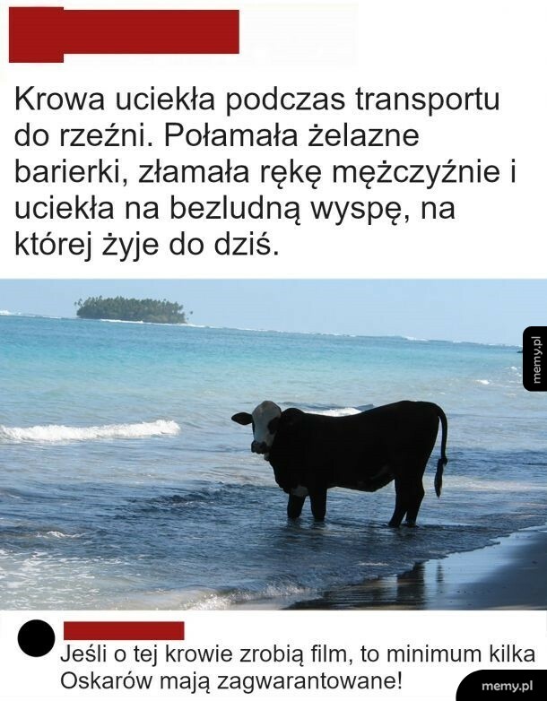 Wielka ucieczka
