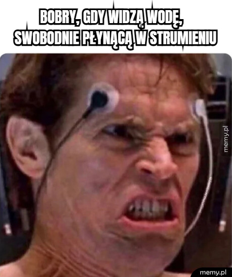 Muszę ją zatrzymać!