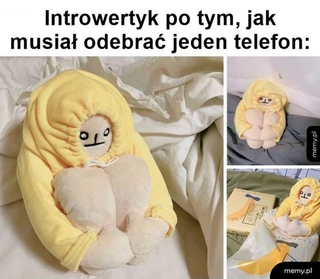 Introwertyk
