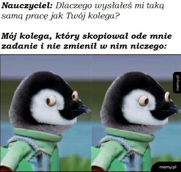 Leniwy kolega