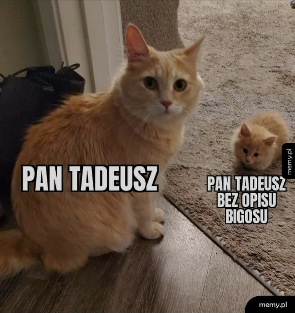 Pan Tadeusz