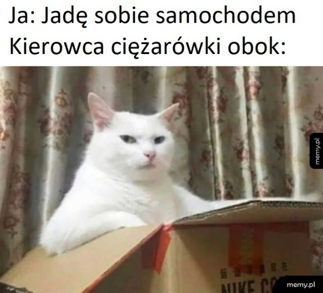 Kierowca ciężarówki