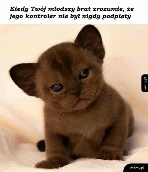 Grrrrrrrrr