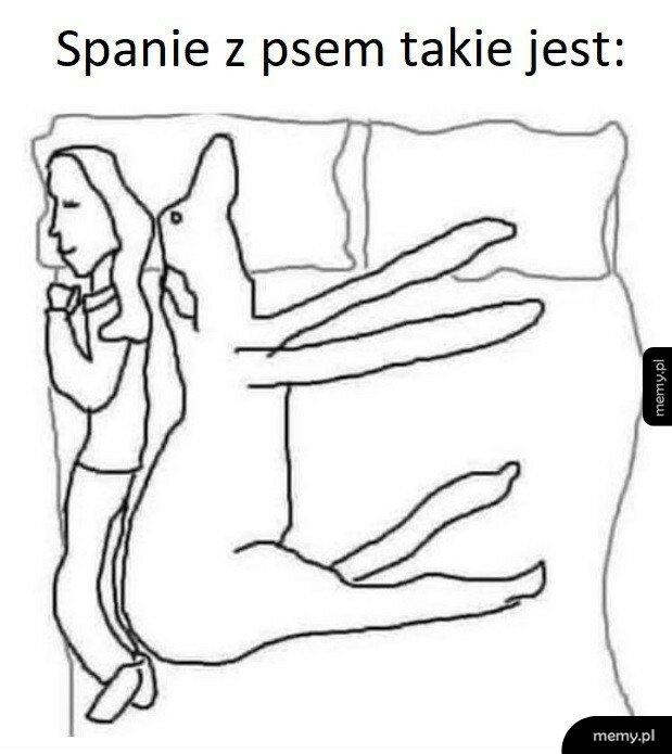 Spanie z psem