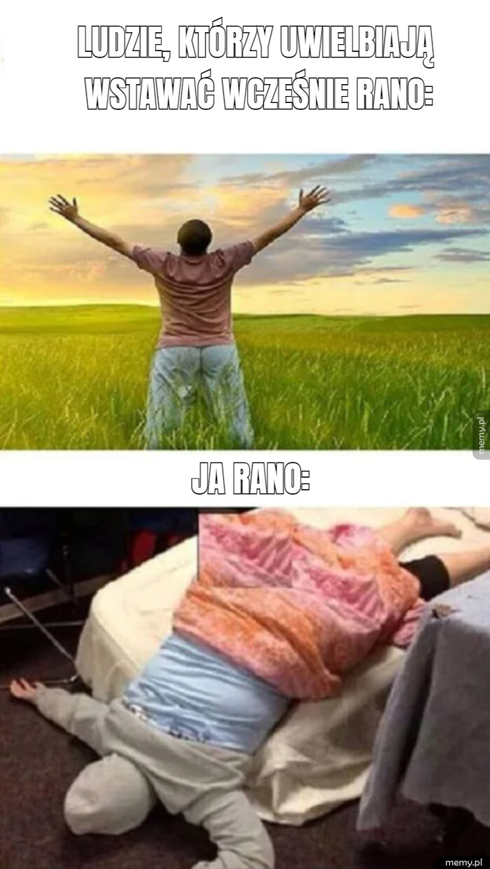 Jak oni to robią?