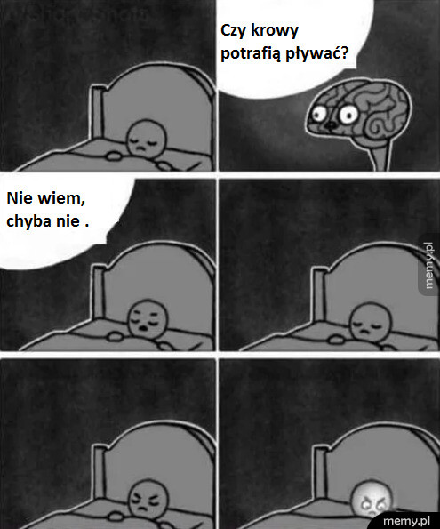 Z cyklu nocne rozkminy