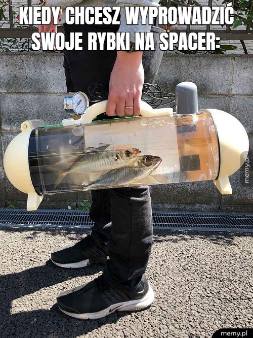 Spacerek