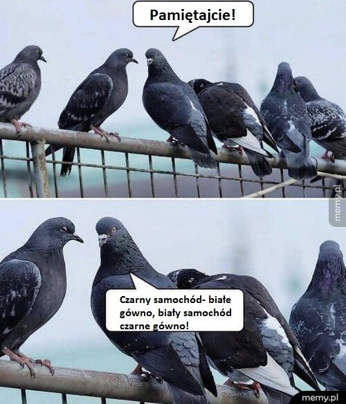Plan działania