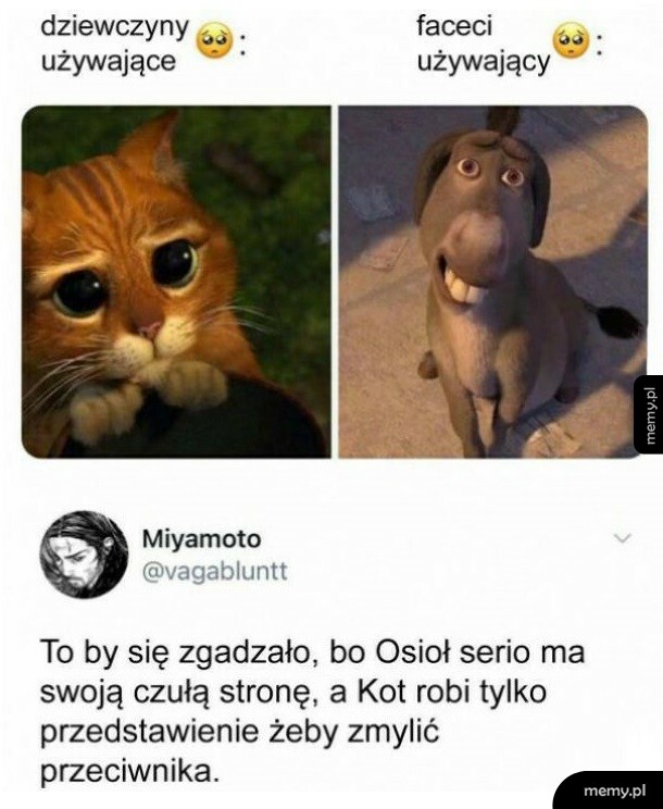 Wszystko się zgadza