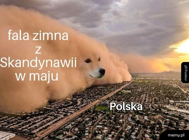 Fala zimna