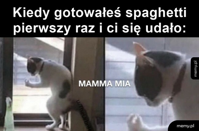Spaghetti