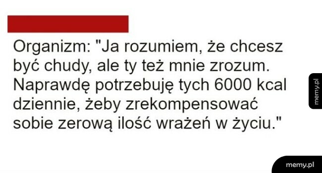 Proszę o zrozumienie