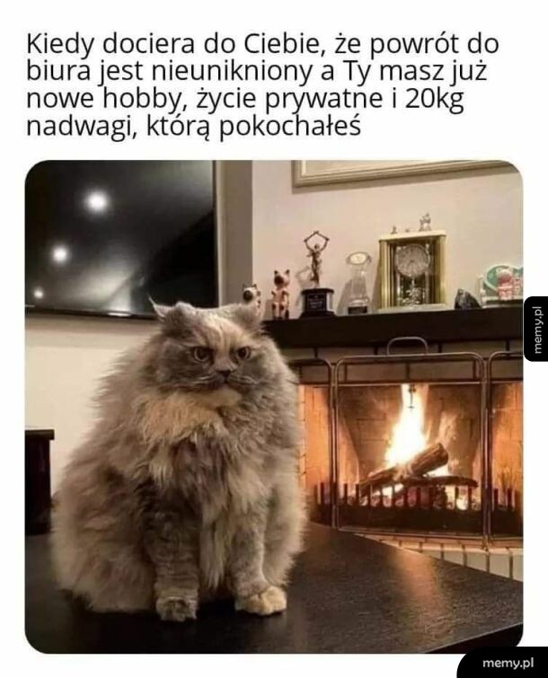 Teraz to już nie chcę
