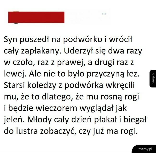 Koledzy z podwórka