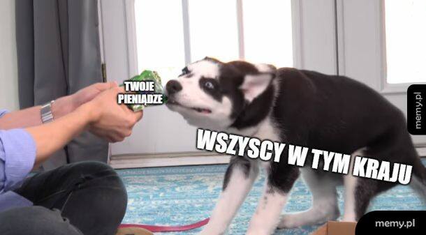 Życie