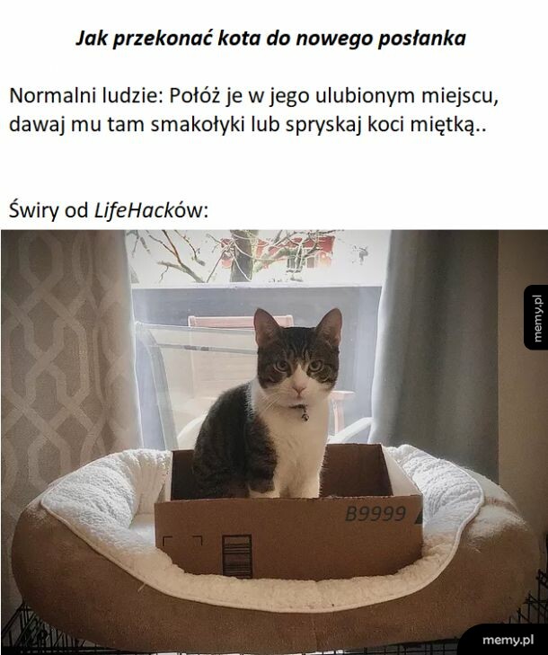 Takie życiowe..