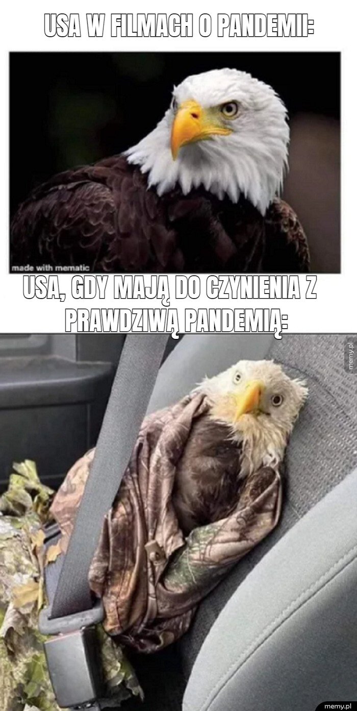 Oczekiwania vs rzeczywistość