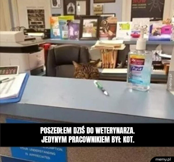 W czym mogę pomóc?