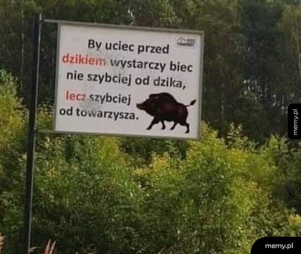 Mistrzowska rada