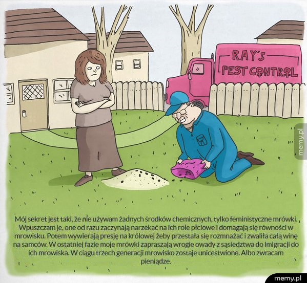 Sposób na mrówki