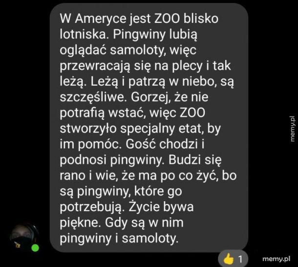Idealna praca
