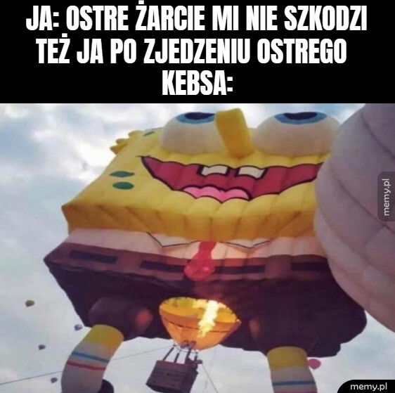 Dobry kebs piecze dwa razy :D