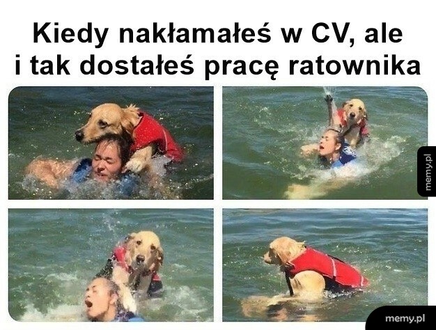 Kiedy nakłamałeś w CV